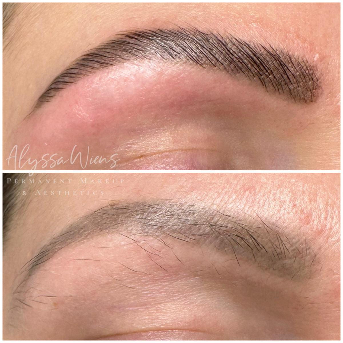 Brow Wax & Tint