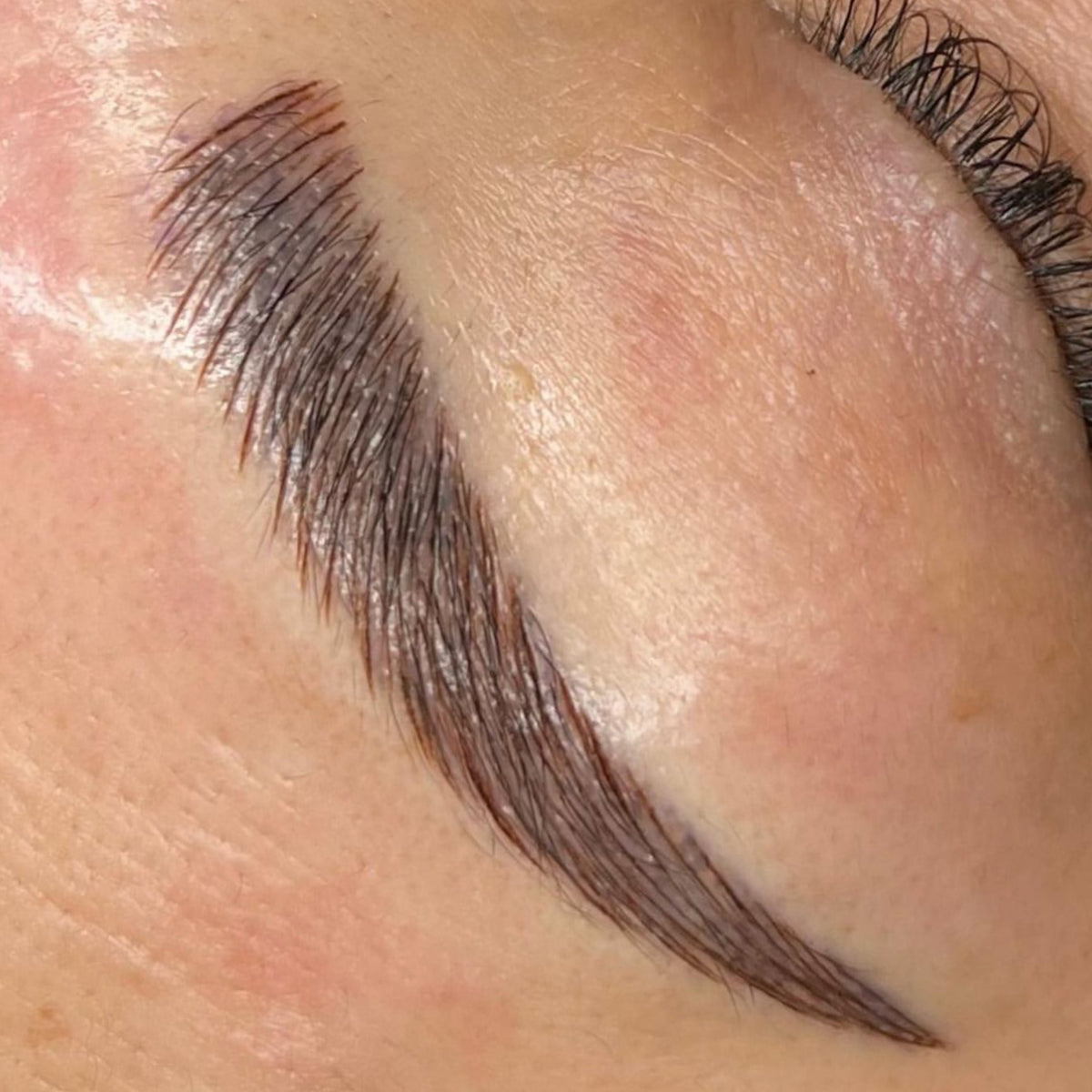 Eyebrow Tattoo New Set