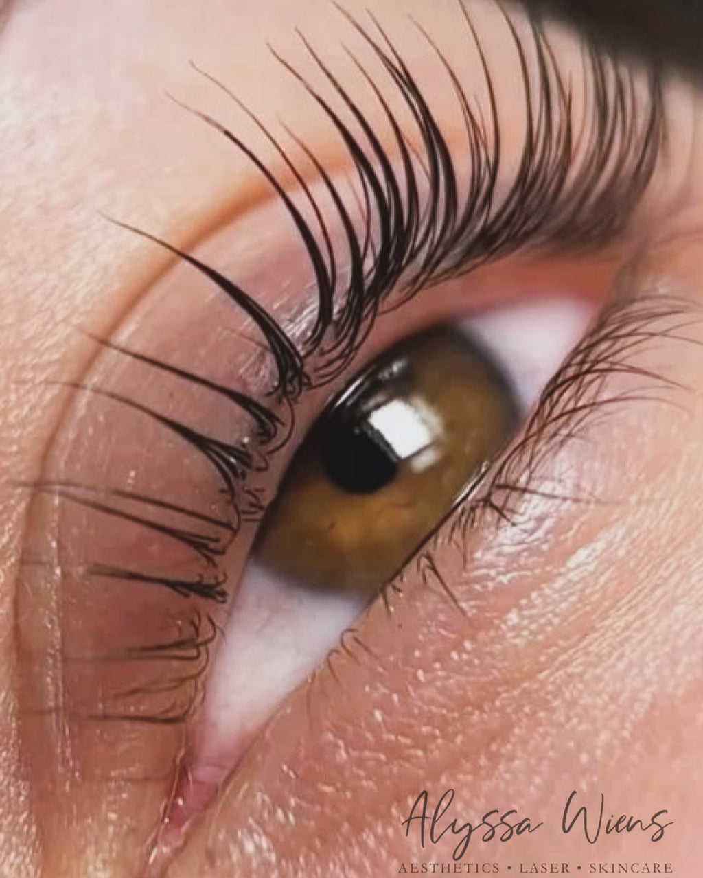 Lash Lift & Tint